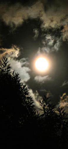 a sun in a cloudy sky with trees in the foreground at Forest House Doftana in Teşila