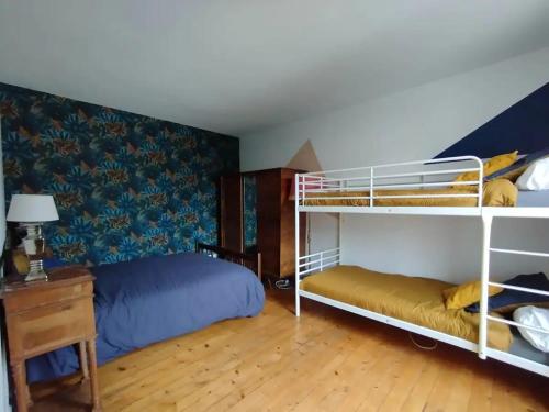 a bedroom with two bunk beds and a bed at Maison centre-ville calme avec jardin in Lons-le-Saunier