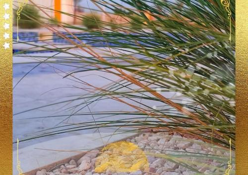 a tiger laying on a pile of rocks at Desert Breeze Resort in Ras al Khaimah
