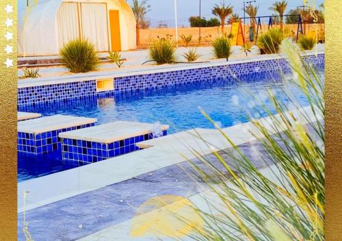 una piscina con azulejos y plantas azules en Desert Breeze Cocoon en Ras al-Khaimah