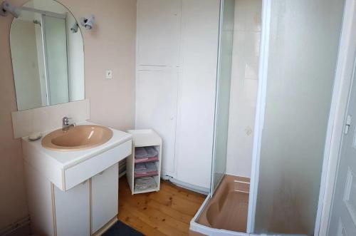 a bathroom with a sink and a shower at Maison centre-ville calme avec jardin in Lons-le-Saunier