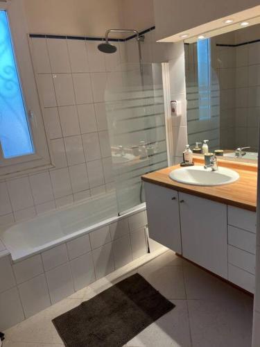une salle de bain avec un lavabo et une douche dans l'établissement Appartement 2 chambres narbonne, à Narbonne