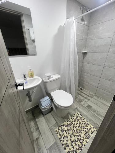 ein Bad mit einem WC, einem Waschbecken und einer Dusche in der Unterkunft Nuevo Apartamento frente al Centro Comercial VIVA in Tunja