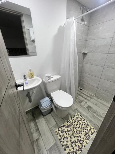 a bathroom with a toilet and a sink and a shower at Nuevo Apartamento frente al Centro Comercial VIVA in Tunja