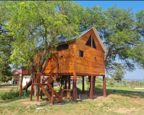 una casa en el árbol con un tobogán y un parque infantil en Haasienda - Nido del Colibri - Casa de Arbol, 