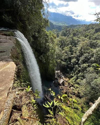 Un paisaje natural cerca de la casa de huéspedes