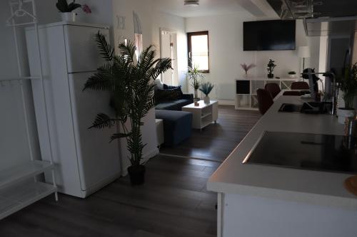 a kitchen and living room with a couch and a plant at Sandnes Central Suite in Sandnes