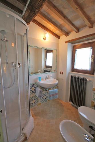 a bathroom with a shower and a sink at Casetta del Pozzo in Seggiano