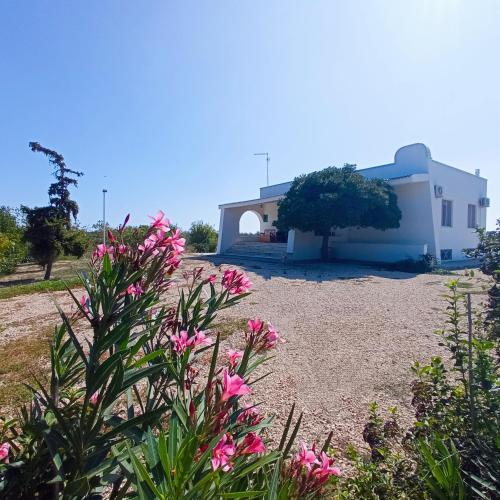 a house with pink flowers in front of it at Abaton - Casa vacanza in Metaponto