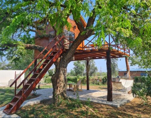 una casa en un árbol con una escalera en un árbol en Haasienda - Nido del Loro - Casa de Arbol, 
