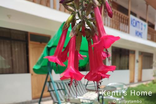 a bunch of pink flowers hanging from a plant at Kentis Home Ollantaytambo in Ollantaytambo