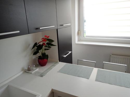 Marguerite apartment with parking