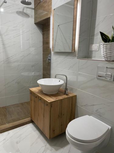 een badkamer met een witte wastafel en een toilet bij Best View Terrace in Târgu-Mureş