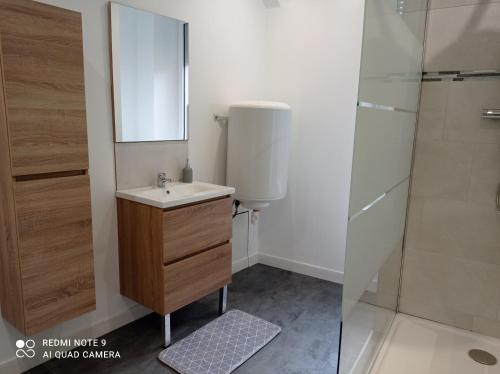 une salle de bain avec un lavabo et une douche dans l'établissement Ravissant Studio, à Bétheniville