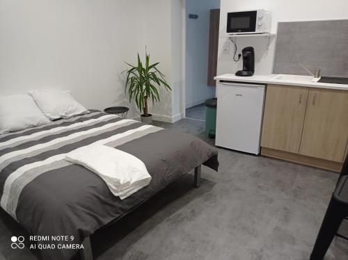 1 dormitorio con 1 cama grande y cocina en Ravissant Studio 