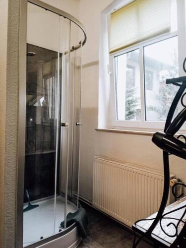 a glass shower in a room with a window at wohnen wohlfühlen - Geräumiges Apartment in Forst in Forst
