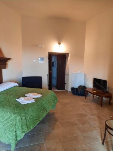 a bedroom with a green bed and a television at Il sogno in Santo Stefano di Sessanio