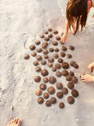 a little girl playing with chocolate donuts in the sand at Pinecraft Blue Heron Tiny Home in Sarasota