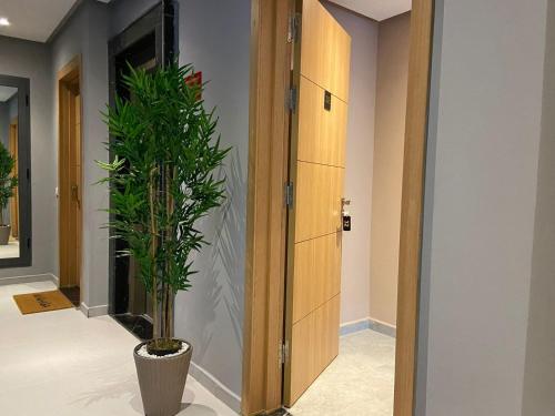 a hallway with a potted plant next to a door at Atlas-Résidence by Rent-Inn in Rabat