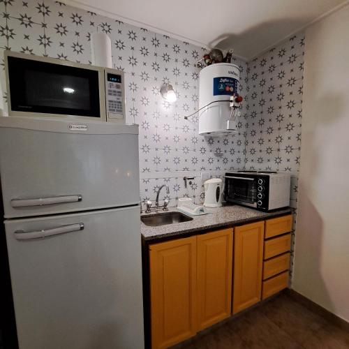 una pequeña cocina con nevera y microondas en Apartamento Trejo en Córdoba