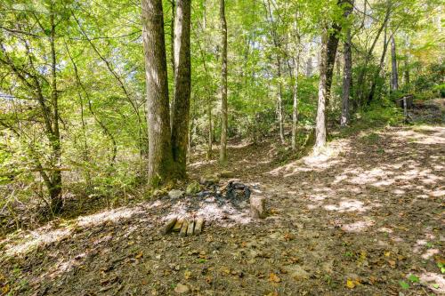 a dirt trail in the woods with trees at Hot Tub and Furnished Porch Balsam Grove Cabin in Balsam Grove