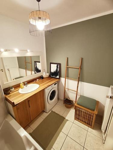 une salle de bain avec un lavabo et une machine à laver dans l'établissement Strasbourg 3 pièces avec jardin, à Brumath