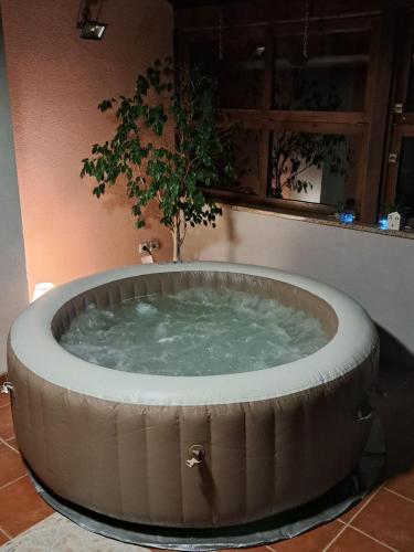a large hot tub in a room with a plant at Kuca sa bazenom Teja in Arandjelovac