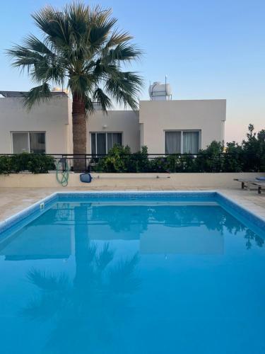 einem blauen Pool vor einem Haus mit einer Palme in der Unterkunft Quiet cozy cool apartment with full new AC and fast Wi-Fi in Peyia