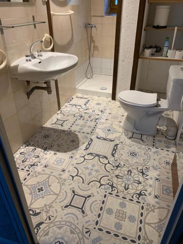 a bathroom with a sink and a toilet at Gîte paisible au cœur des montagnes à Nohèdes in Nohèdes