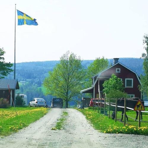un camino de tierra junto a una casa con bandera en Litet hus på gård med utsikt över indalsälven, en Indal