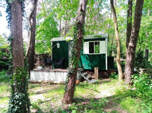 a green tiny house in the woods at Wald und Wohlsein in Beelitz