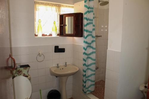 La petite salle de bains est pourvue d'un lavabo et de toilettes. dans l'établissement TheSummitplace, à Hibberdene