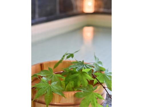 大町市にあるＧｕｅｓｔ Ｈｏｕｓｅ Ｔａｋｅｎｏｙａ - Vacation STAY 76200vの鉢植え