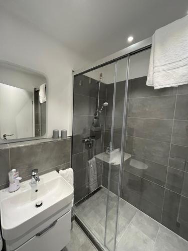 a bathroom with a glass shower and a sink at Kristallklar inklusive MeineCard Plus in Willingen