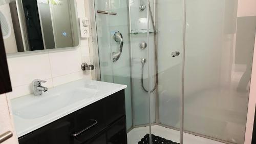 La salle de bains est pourvue d'une douche en verre et d'un lavabo. dans l'établissement Superbe appartement En baie de Somme, à Cayeux-sur-Mer