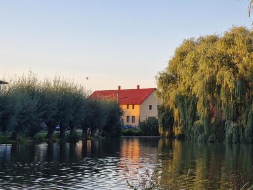 una casa con techo rojo junto a un río en Rodinný dům u rybníka v blízkosti Olomouce, en Hlušovice