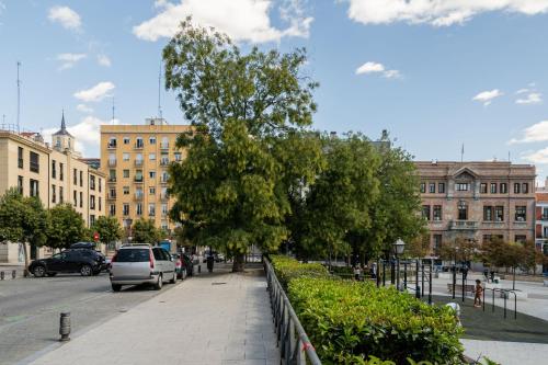 Precioso apartamento La Latina-Rastro ARN