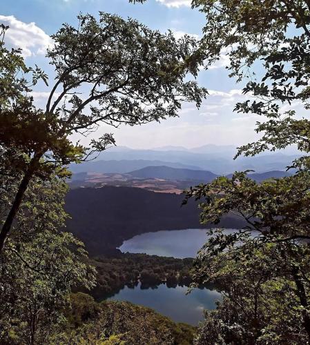 a view of a lake from between two trees at Villa Enrico in Monticchio