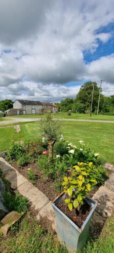 a garden with flowers and plants in a yard at La Petite Locherie in Oradour-Saint-Genest