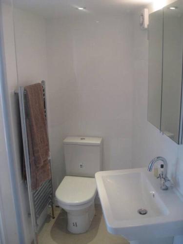 a bathroom with a white toilet and a sink at The Nook, Studio Apartment, South Queensferry in Queensferry