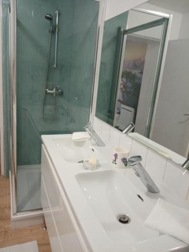 une salle de bain avec un lavabo blanc et une douche dans l'établissement Maison de bourg dans un quartier médiéval, avec café et thé offert, à Clermont-Ferrand