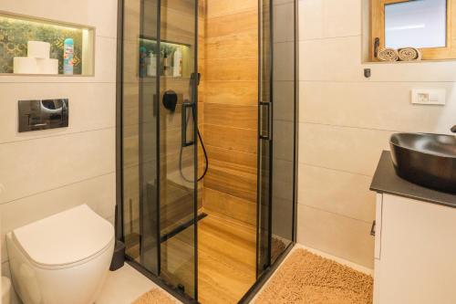 a shower in a bathroom with a toilet and a sink at The Magic Forest - Holiday Home & Spa Zone Platak in Soboli
