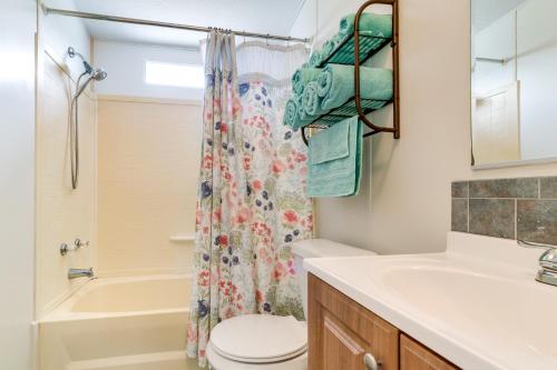 a bathroom with a toilet and a sink and a shower at Weeki Wachee Vacation Rental about 13 Mi to the Ocean! in Spring Hill