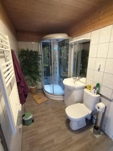 une salle de bain avec toilettes, lavabo et douche dans l'établissement Châlet 8 personnes + grand terrain et rivière, à Entremont