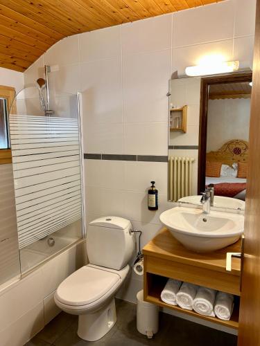 a bathroom with a toilet and a sink at Hameau des Prodains - Hôtel in Morzine