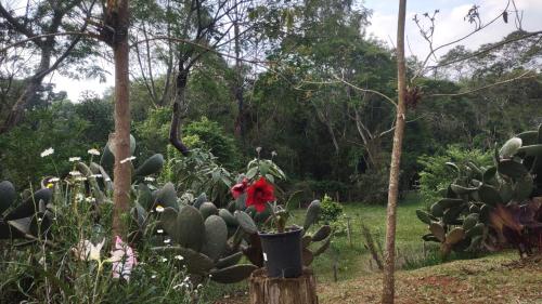 Κήπος έξω από το Casa de Campo Refúgio Jaguary