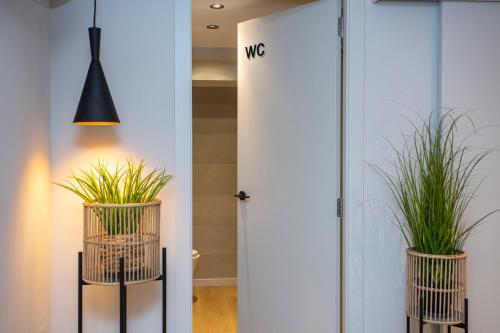 two potted plants in a hallway next to a door at Aila II Hotel Boutique by SingularStays - Digital Access in Burjasot