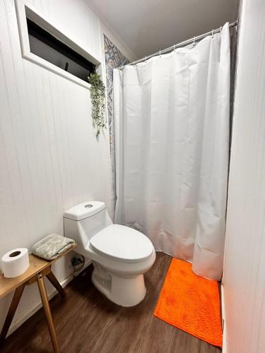 a bathroom with a white toilet and a shower at Alojamiento en Villa alemana Golden House in Villa Alemana