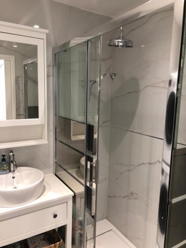 une salle de bain avec une douche en verre et un lavabo dans l'établissement Promenade des anglais 20 mètres, à Nice