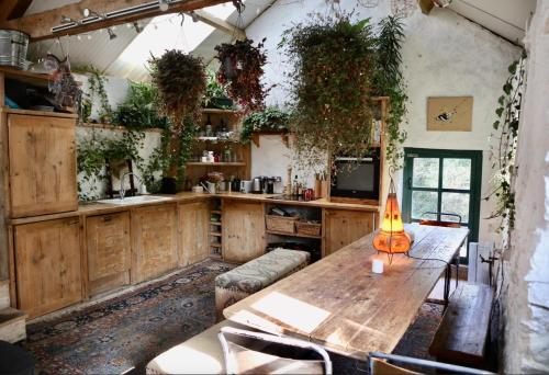 Η κουζίνα ή μικρή κουζίνα στο Hapus Yurt - Two Beautiful Yurts and Barn Cottage